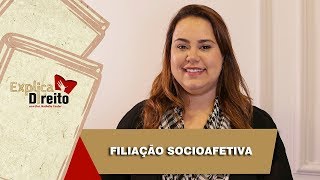 Explica Direito Filiação Socioafetiva  2019 [upl. by Adaurd]